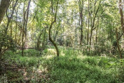 Property in Fairfield County, South Carolina