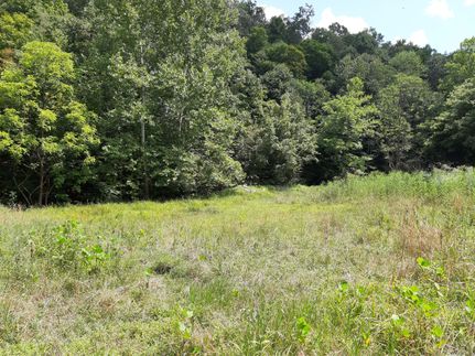 Property in Roane County, West Virginia