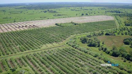 Property in Martin County, Florida