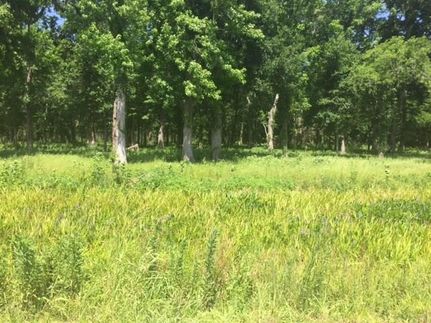 Property in Saint Charles Parish, Louisiana