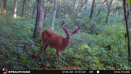 Property in Columbia County, Wisconsin