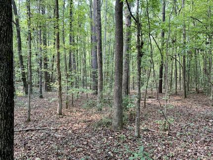 Property in Lamar County, Alabama