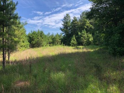 Property in Monroe County, Alabama