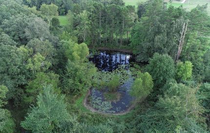 Property in Polk County, Arkansas