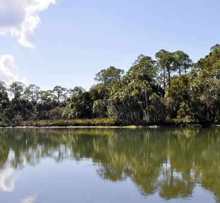 Property in Hernando County, Florida