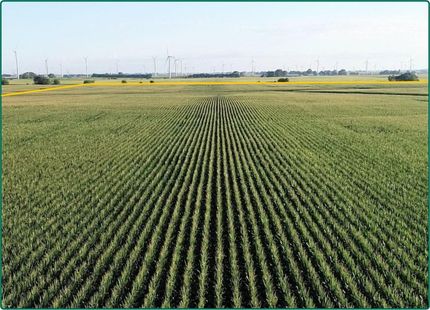 Property in Livingston County, Illinois