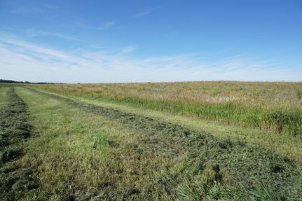 Property in Buena Vista County, Iowa