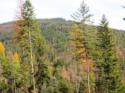 Property in Sanders County, Montana