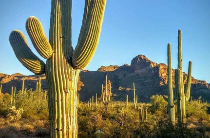 Property in Pima County, Arizona