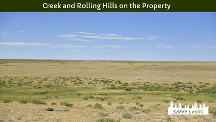 Property in Albany County, Wyoming