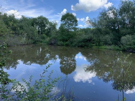 Property in Cattaraugus County, New York