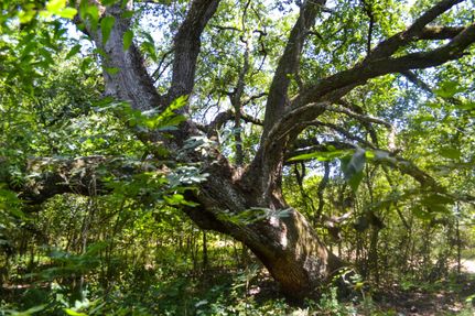 Property in Wharton County, Texas