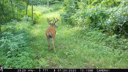 Property in Trempealeau County, Wisconsin