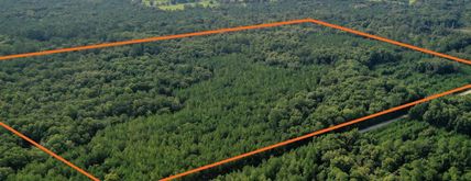 Property in Levy County, Florida