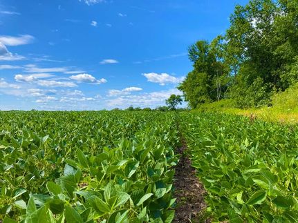 Property in Outagamie County, Wisconsin