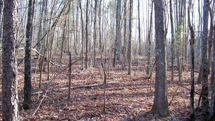 Property in Blount County, Alabama