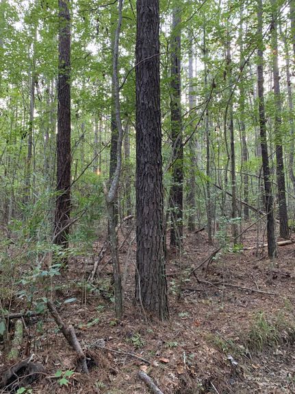 Property in Washington County, North Carolina