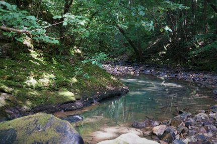 Property in Marion County, Tennessee