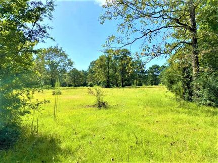 Property in Tyler County, Texas