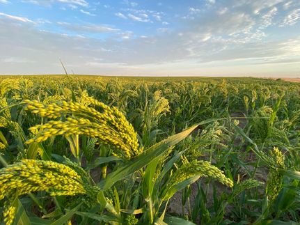 Property in Washington County, Colorado