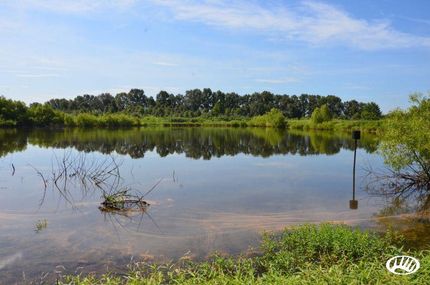 Property in Stoddard County, Missouri