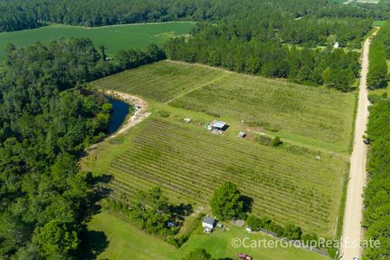 Property in Berrien County, Georgia