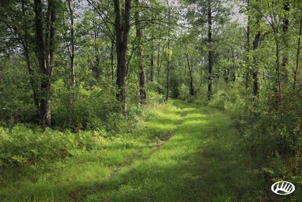 Property in Genesee County, New York