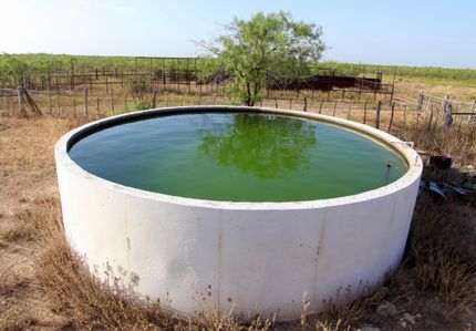 Property in Glasscock County, Texas