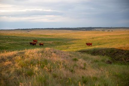 Property in Elbert County, Colorado