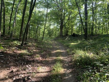 Property in Dutchess County, New York