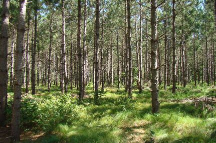 Property in Juneau County, Wisconsin