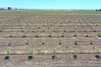 Property in Merced County, California