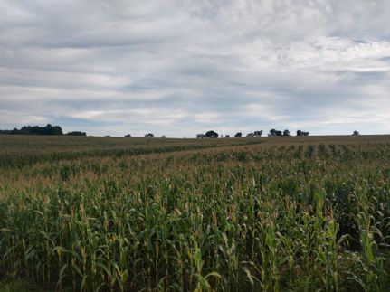 Property in Ray County, Missouri