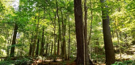 Property in Mason County, West Virginia