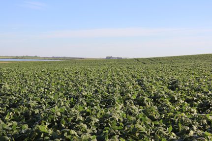 Property in Pierce County, North Dakota