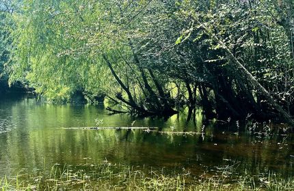 Property in Pierce County, Georgia