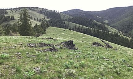Property in Sanders County, Montana