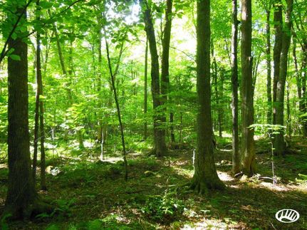 Property in Marathon County, Wisconsin