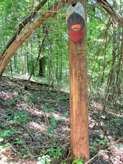 Property in Ohio County, Kentucky