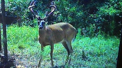 Property in Wilkinson County, Mississippi