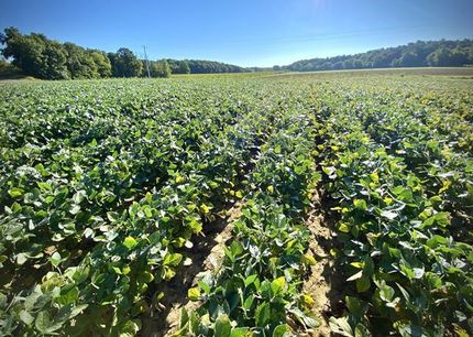 Property in Effingham County, Illinois