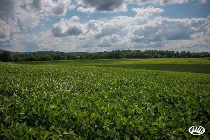 Property in Todd County, Kentucky