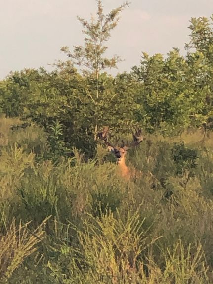 Property in Morehouse Parish, Louisiana