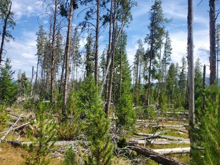 Property in Deer Lodge County, Montana