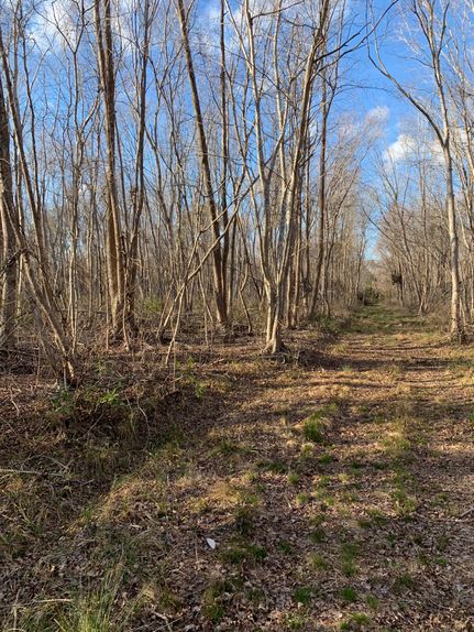 Property in Hyde County, North Carolina