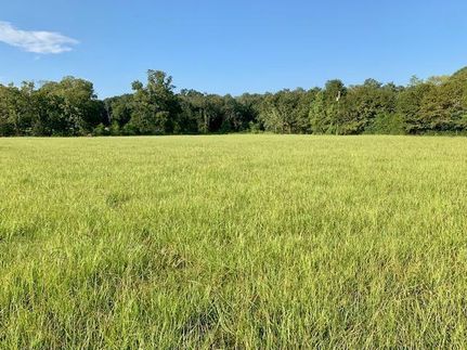 Property in Baldwin County, Alabama