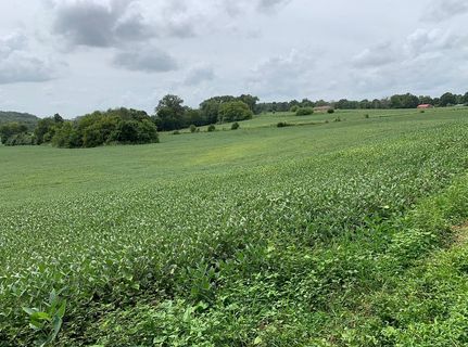 Property in McMinn County, Tennessee