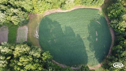 Property in Morrow County, Ohio