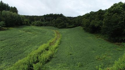 Property in Trempealeau County, Wisconsin