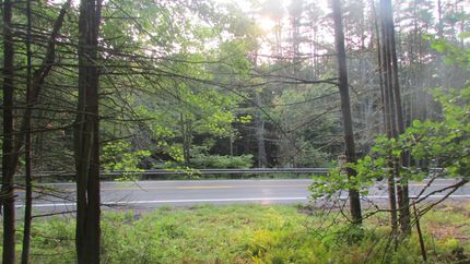 Property in Sullivan County, New York